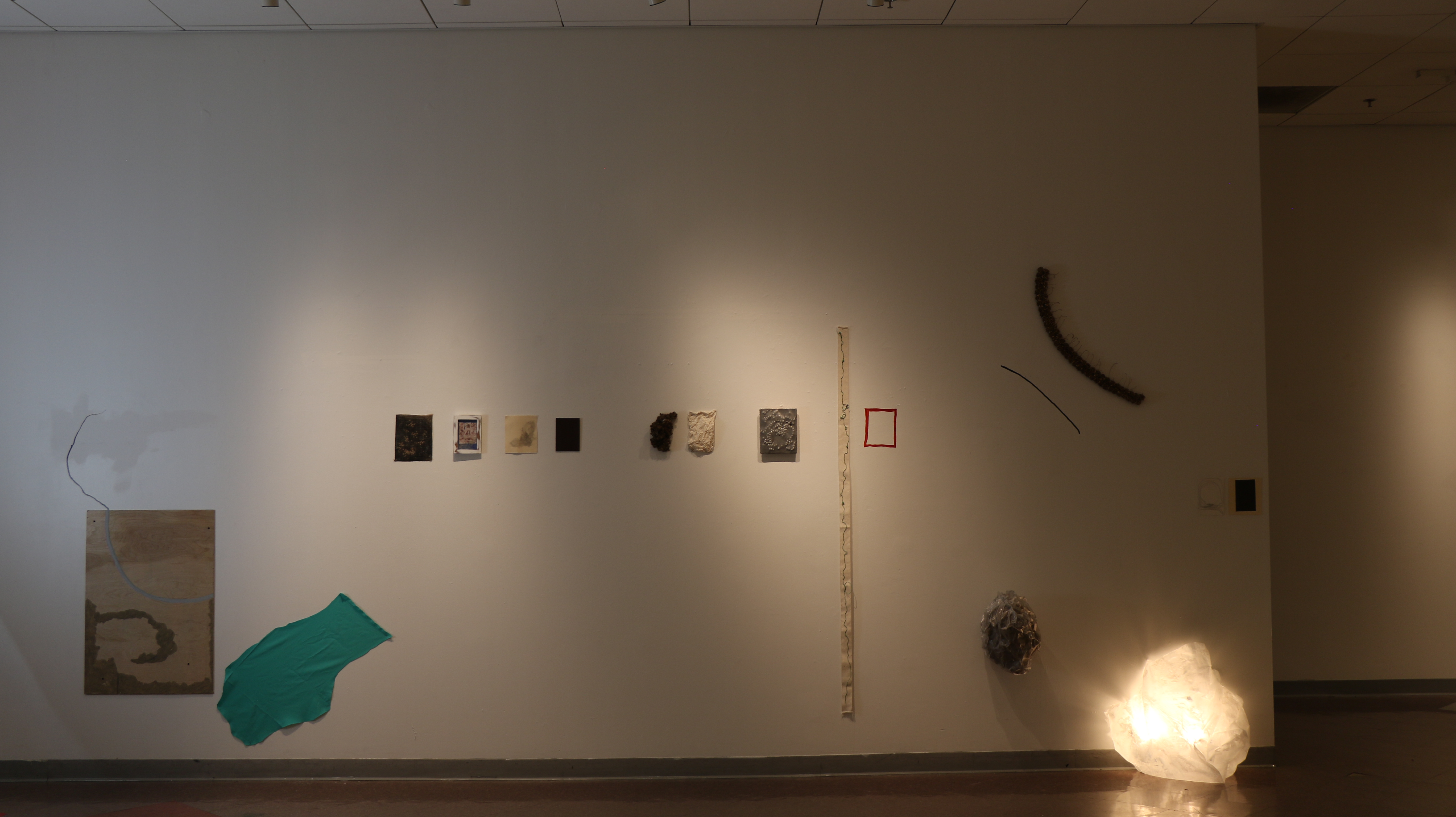 Collaboration with Aisling Wilson 4.